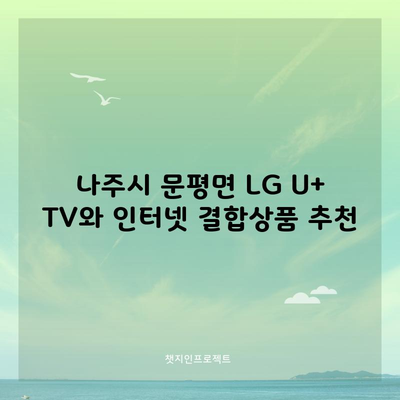 나주시 문평면 LG U+ TV와 인터넷 결합상품 추천