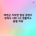 예천군 지보면 영상 콘텐츠 만족도 1위! LG 셋톱박스 종합 리뷰