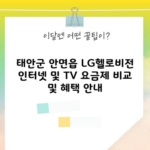 태안군 안면읍 LG헬로비전 인터넷 및 TV 요금제 비교 및 혜택 안내