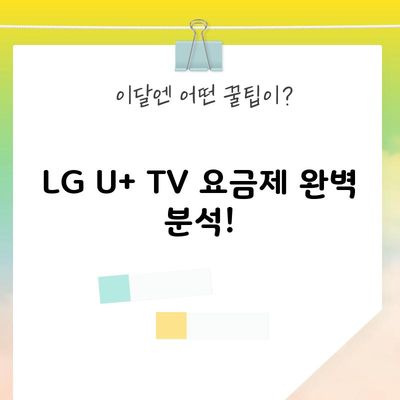 LG U+ TV 요금제 완벽 분석!