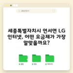 세종특별자치시 연서면 LG 인터넷, 어떤 요금제가 가장 알맞을까요?