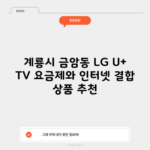 계룡시 금암동 LG U+ TV 요금제와 인터넷 결합 상품 추천