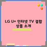 LG U+ 인터넷 TV 결합 상품 소개