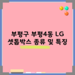 부평구 부평4동 LG 셋톱박스 종류 및 특징