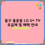 동구 용운동 LG U+ TV 요금제 및 혜택 안내