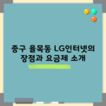 중구 율목동 LG인터넷의 장점과 요금제 소개