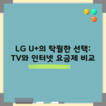 LG U+의 탁월한 선택: TV와 인터넷 요금제 비교