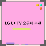 LG U+ TV 요금제 추천