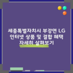 세종특별자치시 부강면 LG 인터넷 상품 및 결합 혜택 자세히 살펴보기