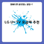 LG U+ TV 요금제 추천