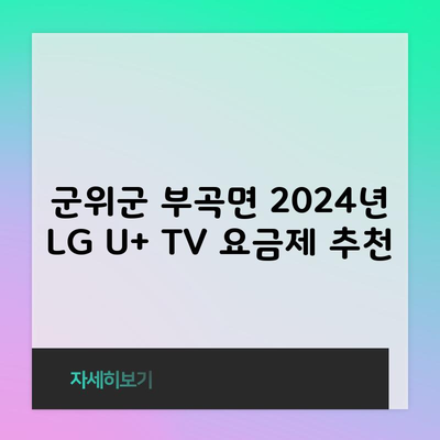 군위군 부곡면 2024년 LG U+ TV 요금제 추천