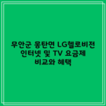 무안군 몽탄면 LG헬로비전 인터넷 및 TV 요금제 비교와 혜택