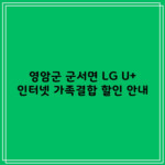 영암군 군서면 LG U+ 인터넷 가족결합 할인 안내