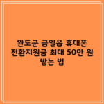 완도군 금일읍 휴대폰 전환지원금 최대 50만 원 받는 법