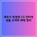 제주시 한경면 LG 인터넷 상품 소개와 혜택 정리