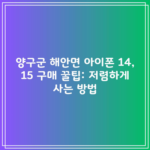 양구군 해안면 아이폰 14, 15 구매 꿀팁: 저렴하게 사는 방법