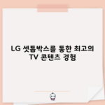 LG 셋톱박스를 통한 최고의 TV 콘텐츠 경험