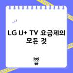 LG U+ TV 요금제의 모든 것