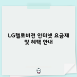 LG헬로비전 인터넷 요금제 및 혜택 안내