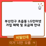 부산진구 초읍동 LG인터넷 가입 혜택 및 요금제 안내