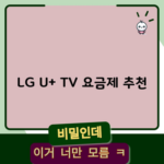 LG U+ TV 요금제 추천