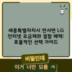 세종특별자치시 연서면 LG 인터넷 요금제와 결합 혜택: 효율적인 선택 가이드