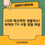 LG의 혁신적인 셋톱박스! 최적의 TV 시청 경험 제공