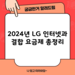 2024년 LG 인터넷과 결합 요금제 총정리