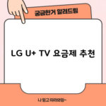 LG U+ TV 요금제 추천