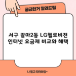 서구 갈마2동 LG헬로비전 인터넷 요금제 비교와 혜택