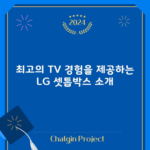 최고의 TV 경험을 제공하는 LG 셋톱박스 소개