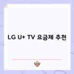 LG U+ TV 요금제 추천