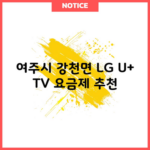 여주시 강천면 LG U+ TV 요금제 추천