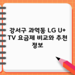 강서구 과역동 LG U+ TV 요금제 비교와 추천 정보