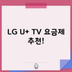 LG U+ TV 요금제 추천!