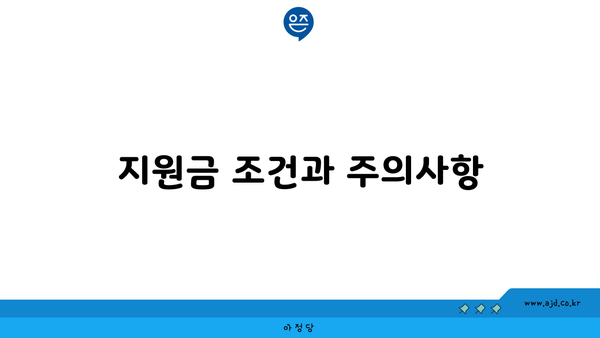 지원금 조건과 주의사항