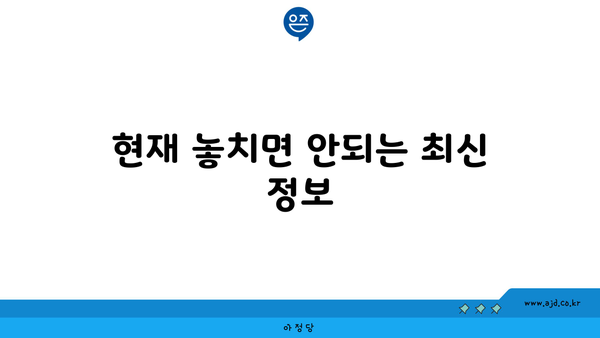 현재 놓치면 안되는 최신 정보