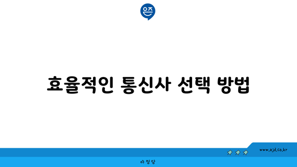 효율적인 통신사 선택 방법