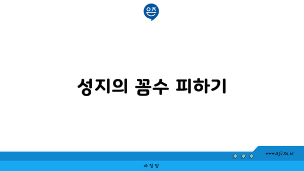 성지의 꼼수 피하기