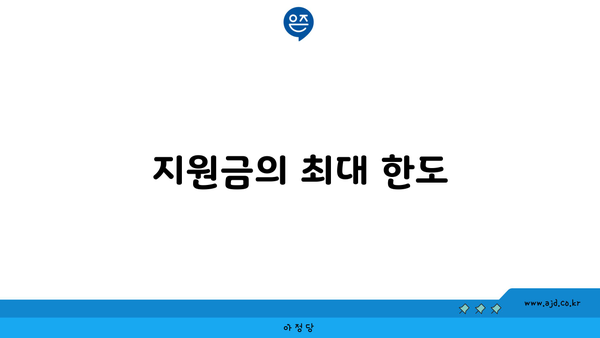 지원금의 최대 한도