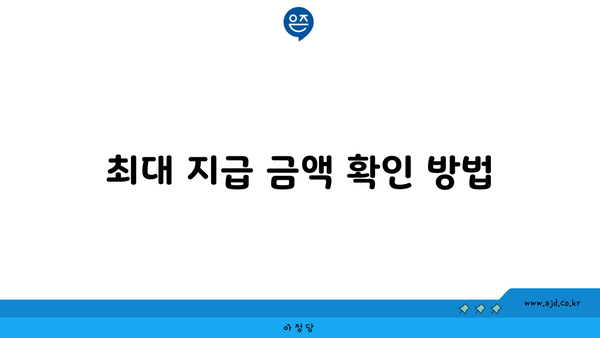 최대 지급 금액 확인 방법