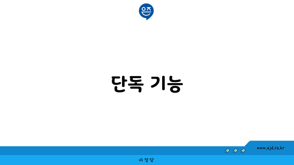 단독 기능