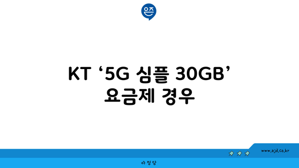 KT ‘5G 심플 30GB’ 요금제 경우