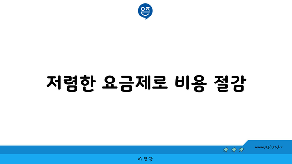 저렴한 요금제로 비용 절감