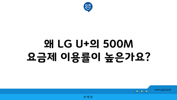 왜 LG U+의 500M 요금제 이용률이 높은가요?