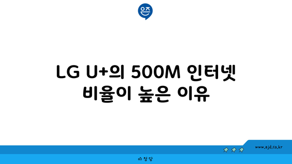 LG U+의 500M 인터넷 비율이 높은 이유