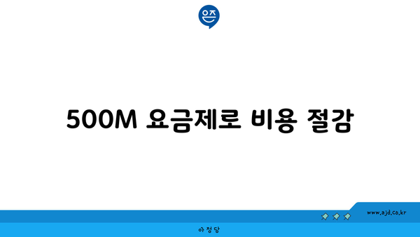 500M 요금제로 비용 절감