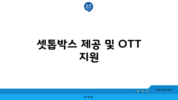 셋톱박스 제공 및 OTT 지원