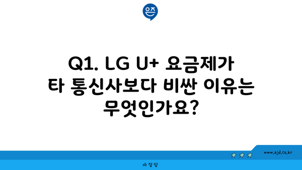 Q1. LG U+ 요금제가 타 통신사보다 비싼 이유는 무엇인가요?