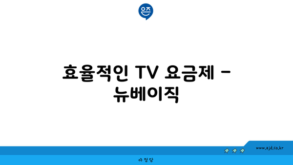 효율적인 TV 요금제 – 뉴베이직